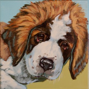 HUG 2014, chambre chien